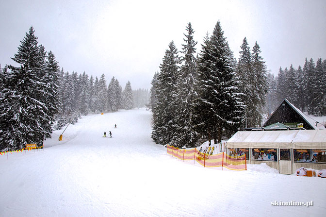 Winter Park Martinky - w poszukiwaniu prawdziwej zimy Winter Park Martinky - w poszukiwaniu prawdziwej zimy