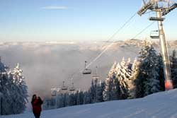 fot. J.Ciszak/skionline.pl fot. J.Ciszak/skionline.pl